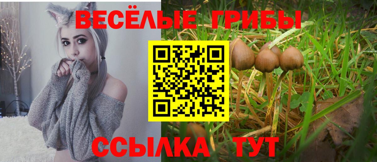 Лысьва  Псилоцибиновые грибы прущие грибы  Вход с VPN 